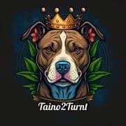 TTP.Taino2Turnt