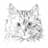 WWW_Blaze